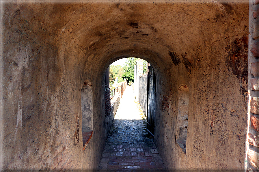 foto Camminamento delle mura di Pisa